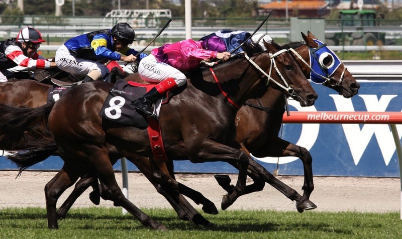 corrida de cavalo em Melbourne Cup